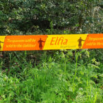 Die meinen es ernst!